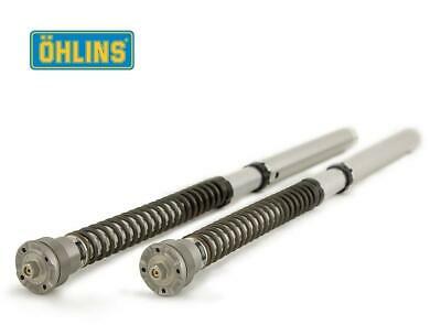 Immagine di CARTUCCIE FOECELLA OHLINS HONDA CBR 600RR (Showa) 2021